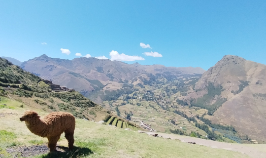 Cover ทริปเปรู คนเดียวก็เที่ยวได้ ตอน 5 เช้าไปเย็นกลับ Pisac โบราณสถานอินค...