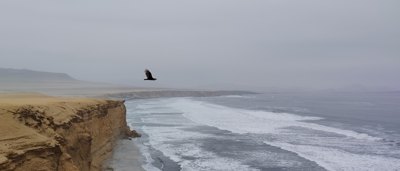 cover ทริปเปรู คนเดียวก็เที่ยวได้ ตอน 9 ปั่นจักรยานชมอุทยานแห่งชาติ Paracas ดินแดนที่ทะเลทรายพบกับทะเล กาลาปากอสคนจน