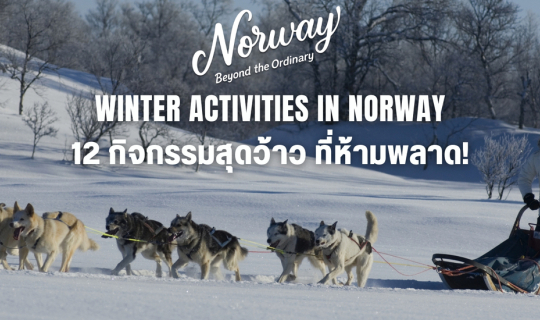 Cover 12 Winter Activities in Norway  เปิดประสบการณ์ 12 กิจกรรมสุดว้าว ที่...