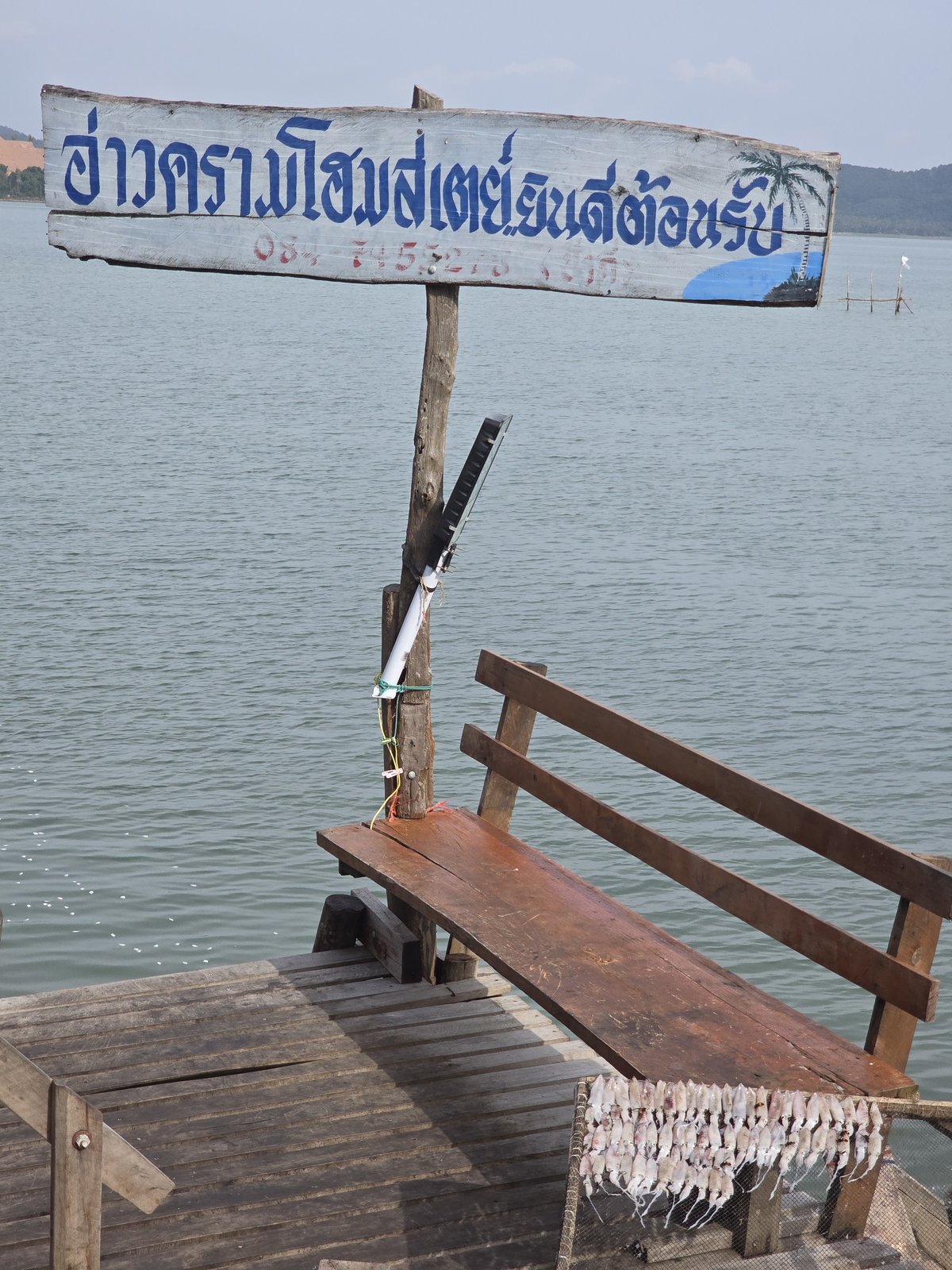 v056i6rp51ny