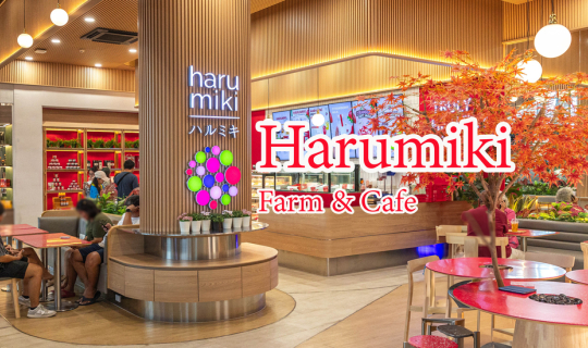Cover Harumiki House...