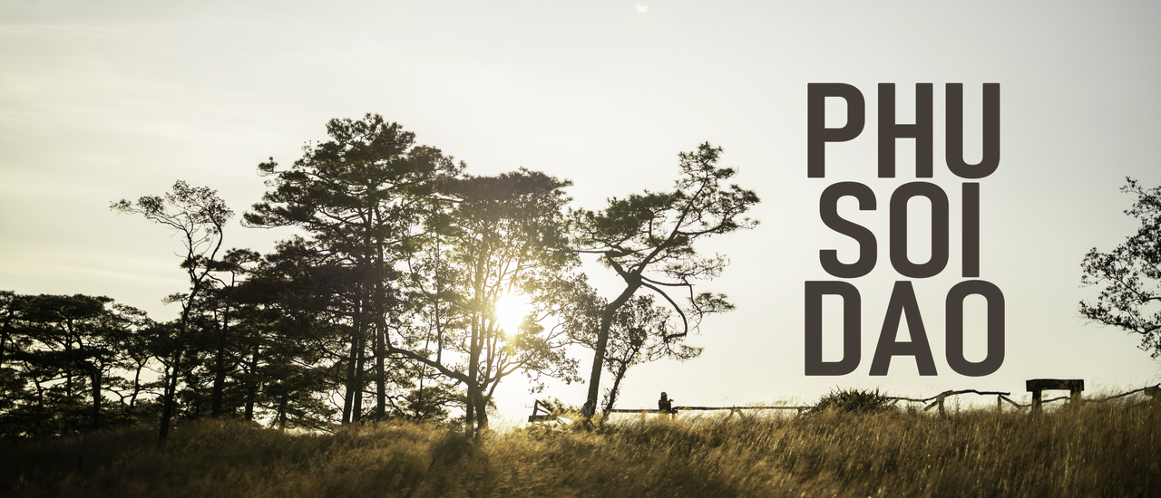 cover ภูสอยดาว | จะกี่ครั้งก็สวย | 2วัน1คืน | December 2023