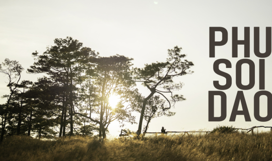 Cover ภูสอยดาว | จะกี่ครั้งก็สวย | 2วัน1คืน | December 2023...