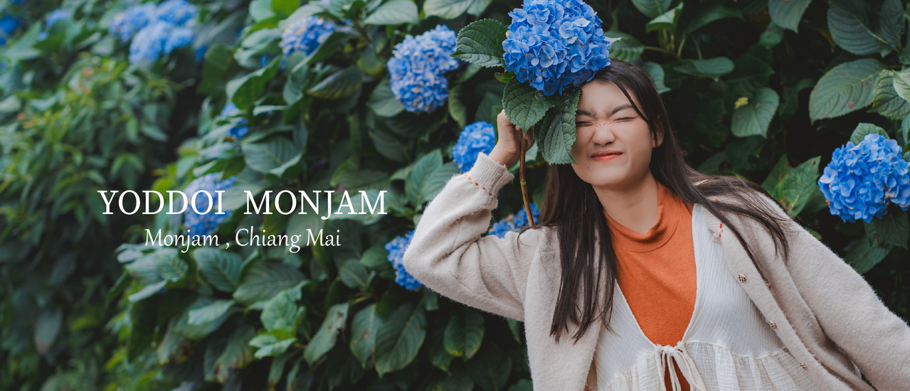 cover ยอดดอยม่อนแจ่ม - เชียงใหม่