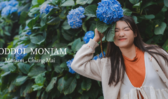 Cover ยอดดอยม่อนแจ่ม - เชียงใหม่...