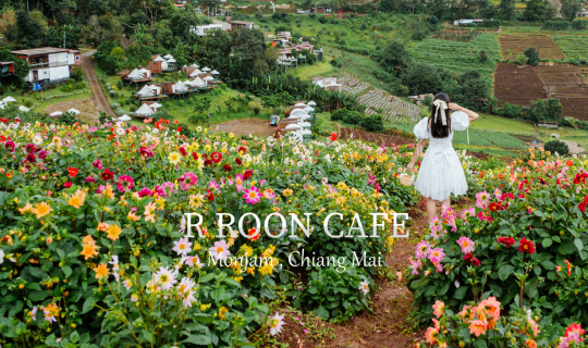 Cover R  Roon  Cafe  คาเฟ่สวนดอกไม้บนม่อนแจ่ม เชียงใหม่...