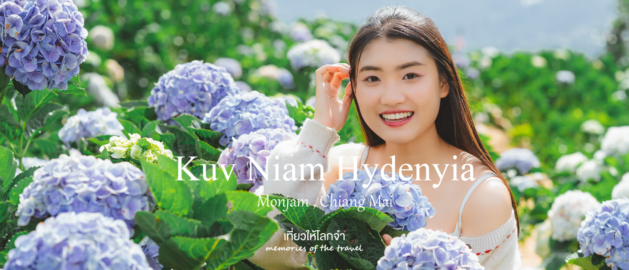 cover กู๋เนียร์ไฮเดรนเยีย Kuv Niam Hydenyia - ม่อนแจ่ม เชียงใหม่