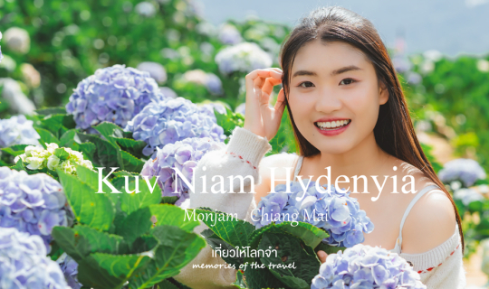 Cover กู๋เนียร์ไฮเดรนเยีย Kuv Niam Hydenyia - ม่อนแจ่ม เชียงใหม่...