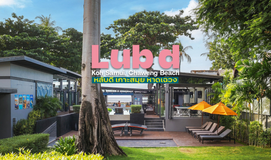 Cover 🌊 Lub D Koh Samui, Chaweng Beach | หลับดี เกาะสมุย, หาดเฉวง : Lifes...