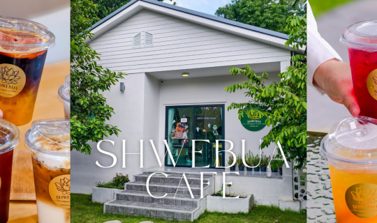 Cover เปิดแล้ว!! ชเวบัว คาเฟ่....คาเฟ่แนวธรรมชาติสุดชิลย่านนนทบุรี...