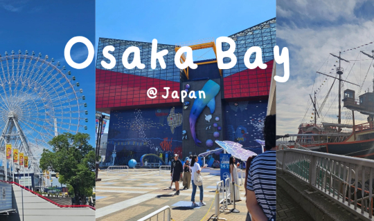 Cover แวะหาฉลามวาฬ ล่องเรือโจรสลัด ชมพระอาทิตย์ตกที่อ่าวโอซาก้า @ญี่ปุ่น...