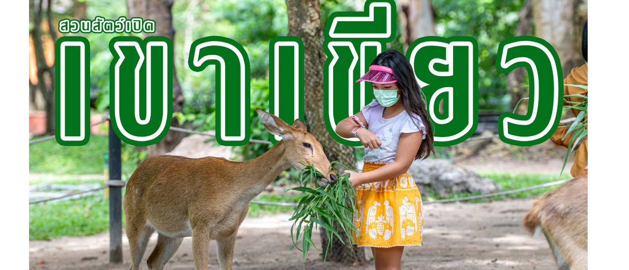 cover เที่ยว "สวนสัตว์เปิดเขาเขียว" ในวันที่หมูเด้งโตแล้ว