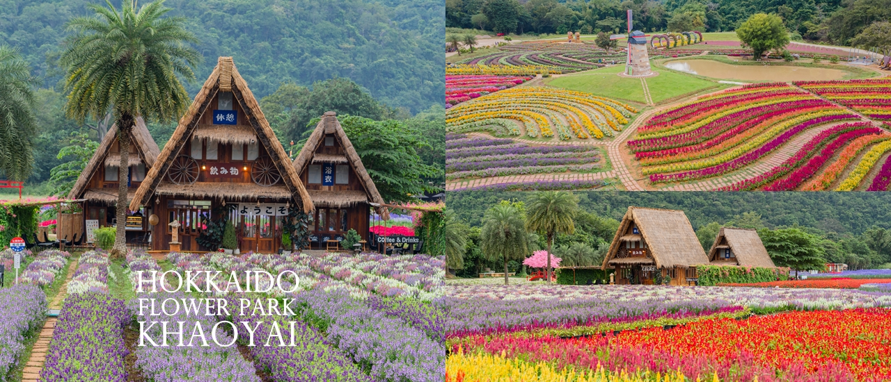 cover สวนดอกไม้ เขาใหญ่ 2 บรรยากาศ เหมือนหลุดไปญี่ปุ่นและยุโรป