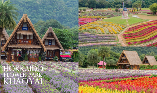Cover สวนดอกไม้ เขาใหญ่ 2 บรรยากาศ เหมือนหลุดไปญี่ปุ่นและยุโรป...