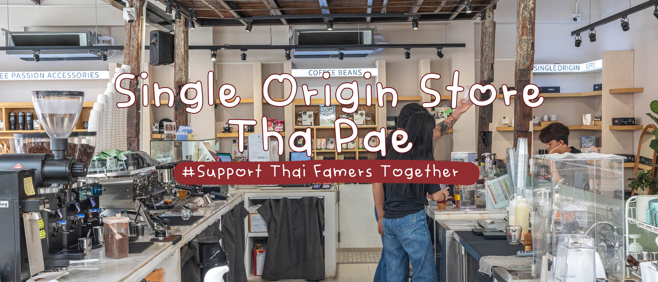cover Single Origin Store Tha Pae