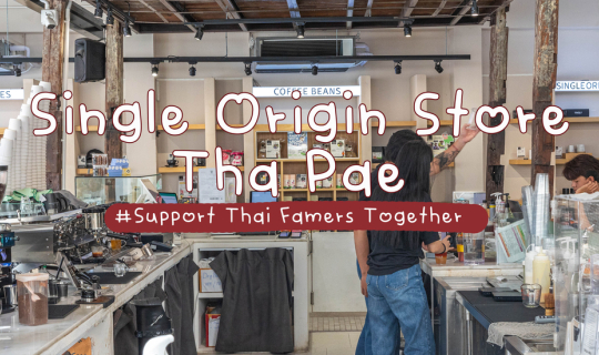 Cover Single Origin Store Tha Pae...