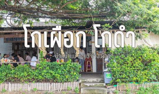 Cover โกเผือก โกดำ เชียงใหม่...