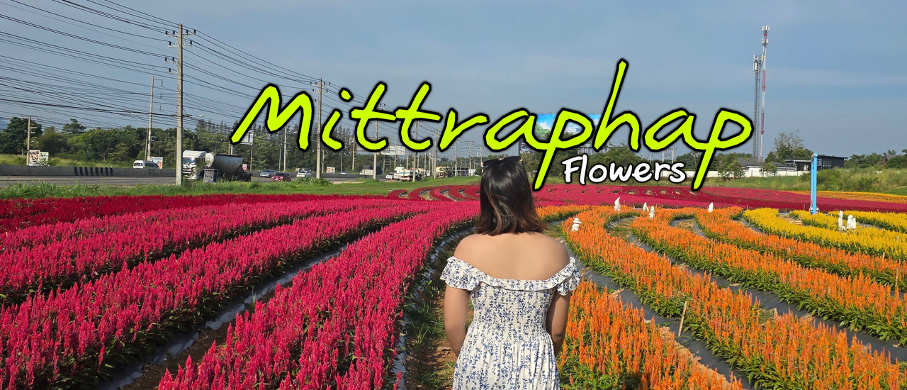 cover สวนดอกไม้มิตรภาพ ปากช่อง