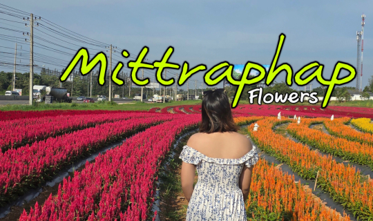 Cover สวนดอกไม้มิตรภาพ ปากช่อง...