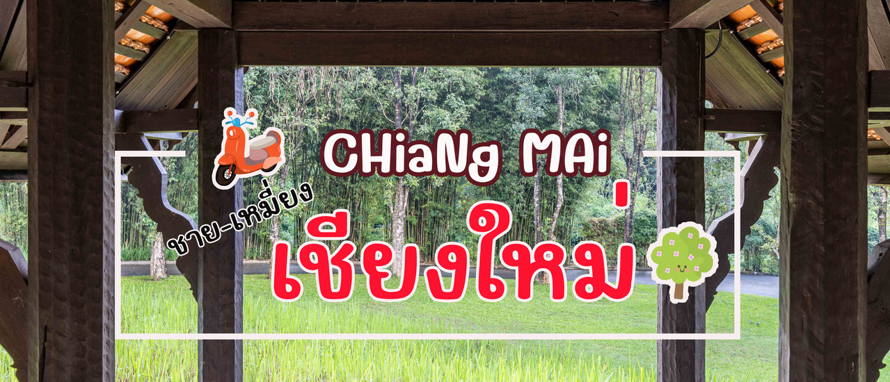 cover ขับรถวนไป @ เชียงใหม่ 4 วัน 3 คืน