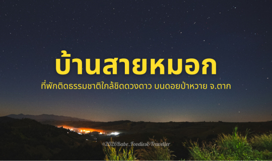 Cover หนีความวุ่นวาย ไปติดเกาะกลางทะเลหมอกที่ "บ้านสายหมอก ดอยป่าหวาย" จ.ต...