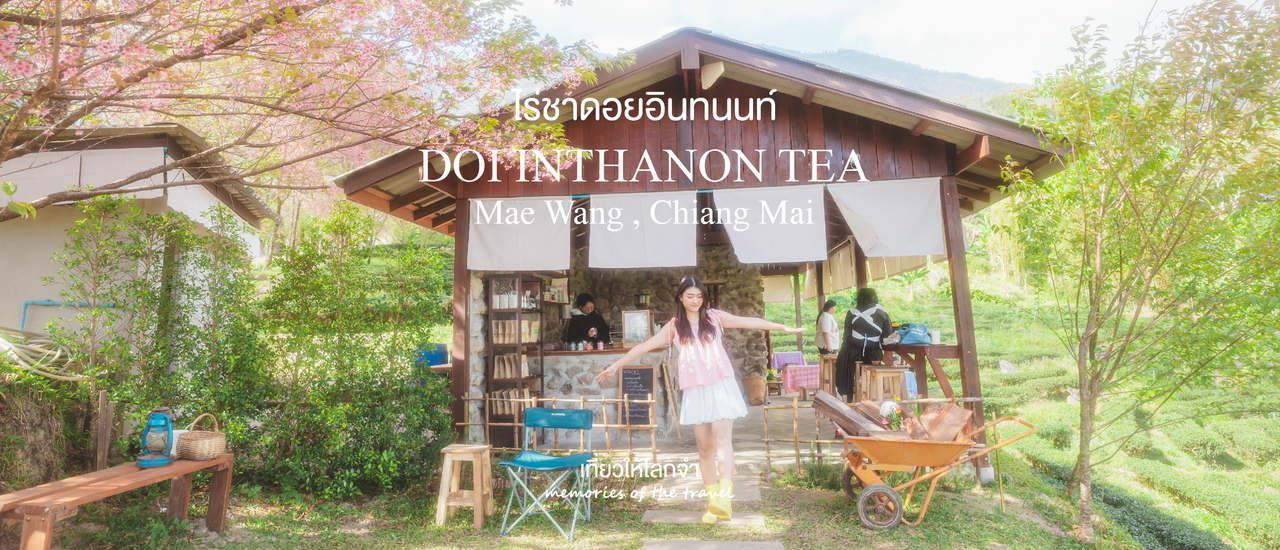 cover ไร่ชาดอยอินทนนท์ในวันที่ดอกพญาเสือโคร่งบาน