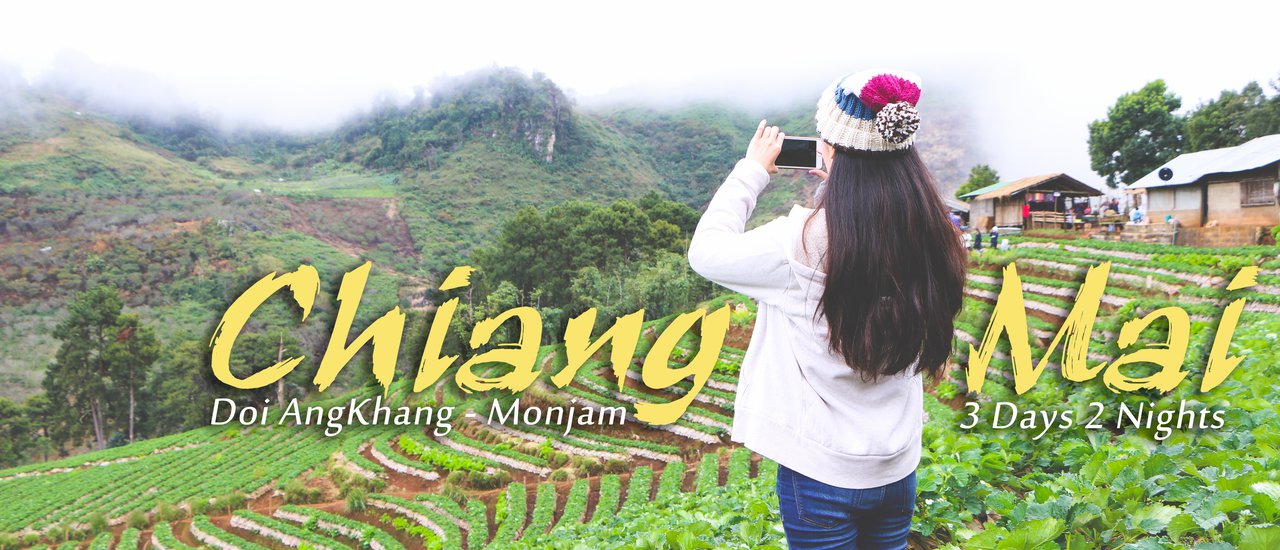 cover เที่ยวเชียงใหม่ | พาแฟนไปแอ่วดอยอ่างขาง ม่อนแจ่ม 3 วัน 2 คืน