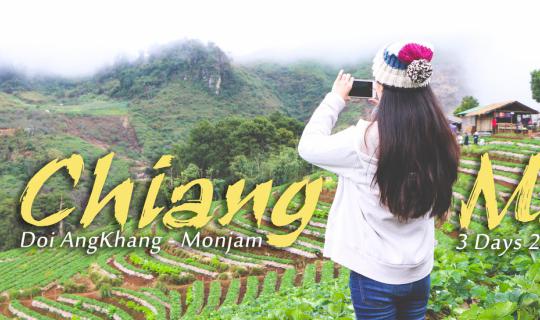 cover เที่ยวเชียงใหม่ | พาแฟนไปแอ่วดอยอ่างขาง ม่อนแจ่ม 3 วัน 2 คืน