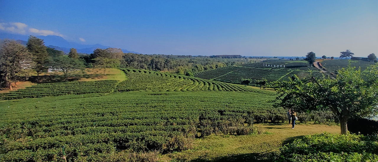 cover ต่อให้เหนือสุด ข้าก็จะไป