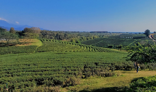 Cover ต่อให้เหนือสุด ข้าก็จะไป...