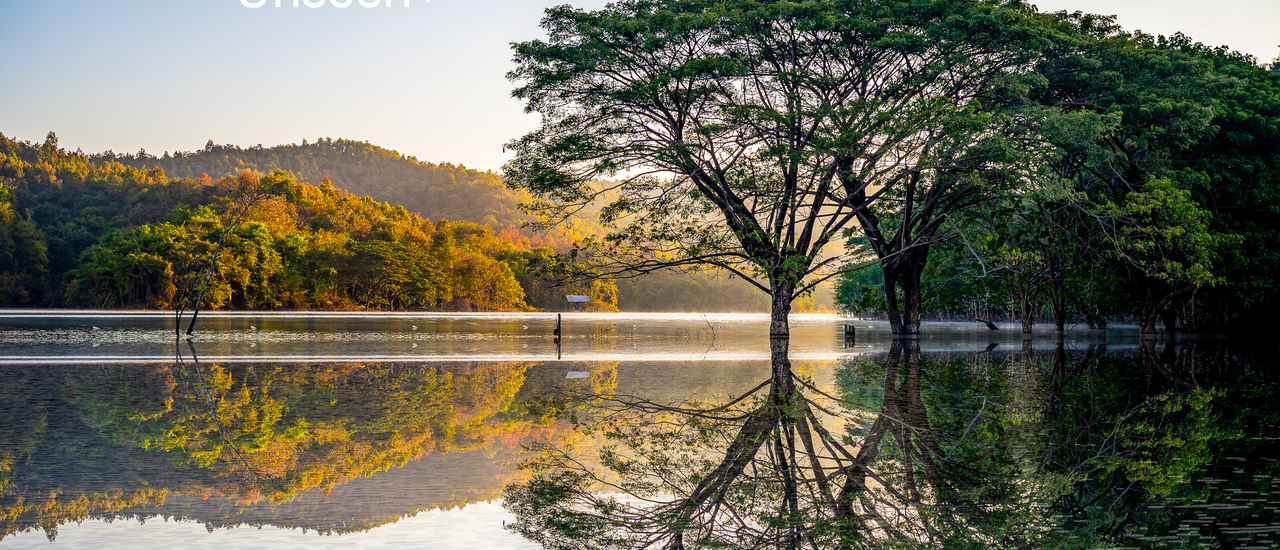 cover Unseen จังหวัดแพร่ ต้นฉำฉากลางน้ำ อ่างแม่มาน สูงเม่น แพร่ 😍