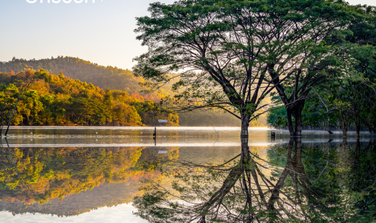 Cover Unseen จังหวัดแพร่ ต้นฉำฉากลางน้ำ อ่างแม่มาน สูงเม่น แพร่ 😍...