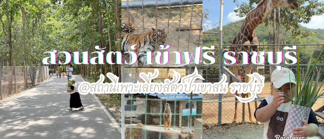 cover สวนสัตว์เข้าฟรี ราชบุรี ที่สถานีเพาะเลี้ยงสัตว์ป่าเขาสน ราชบุรี