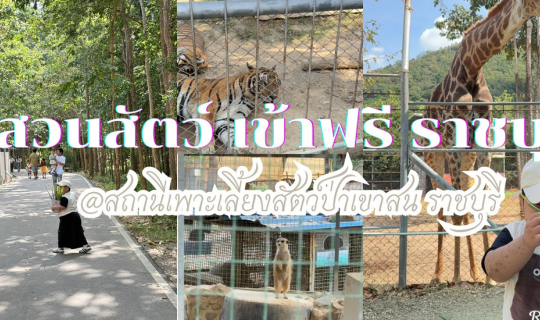 Cover สวนสัตว์เข้าฟรี ราชบุรี ที่สถานีเพาะเลี้ยงสัตว์ป่าเขาสน ราชบุรี...