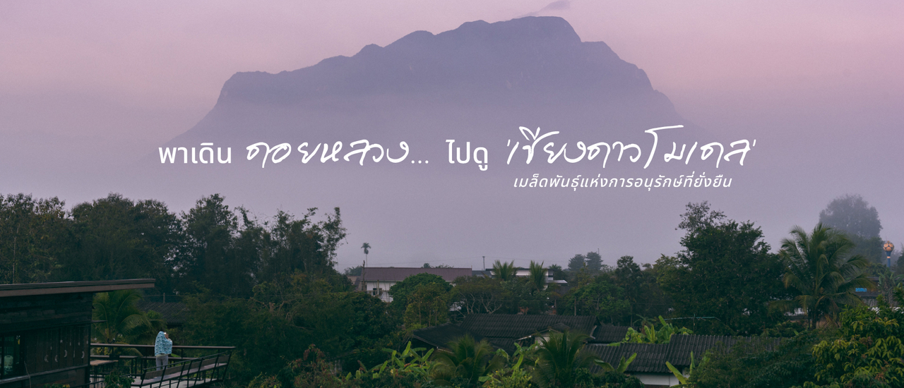 cover “พาเดินดอยหลวง… ไปดู ‘เชียงดาวโมเดล’ เมล็ดพันธุ์แห่งการอนุรักษ์ที่ยั่งยืน”