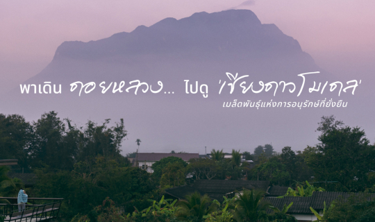Cover “พาเดินดอยหลวง… ไปดู ‘เชียงดาวโมเดล’ เมล็ดพันธุ์แห่งการอนุรักษ์ที่ยั...