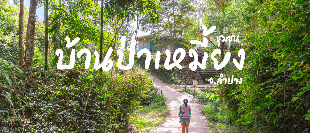 cover ชุมชนบ้านป่าเหมี้ยง ลำปาง