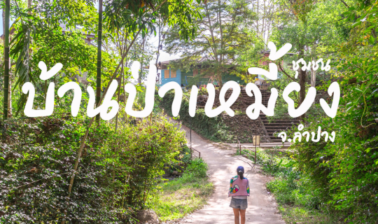 Cover ชุมชนบ้านป่าเหมี้ยง ลำปาง...