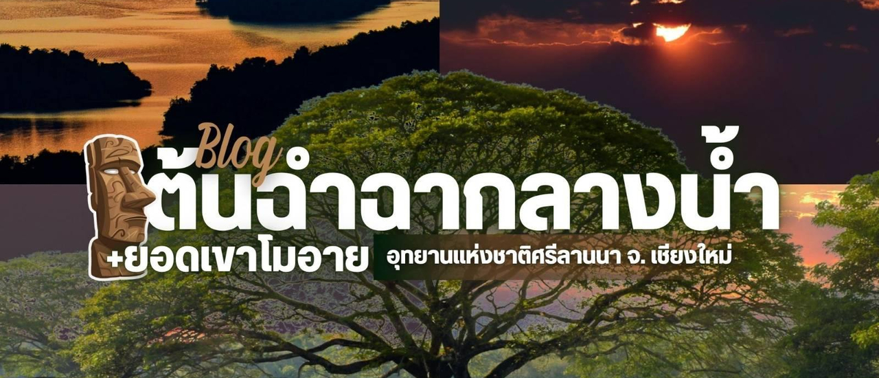 cover เที่ยวชมต้นฉำฉากลางน้ำ + ยอดเขาโมอาย | อ.พร้าว จ.เชียงใหม่ | 2 วัน 1 คืน