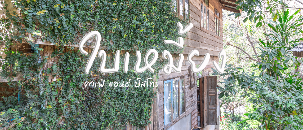 cover ใบเหมี้ยง คาเฟ่ แอนด์ บิสโทร