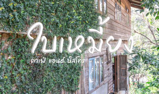 cover ใบเหมี้ยง คาเฟ่ แอนด์ บิสโทร