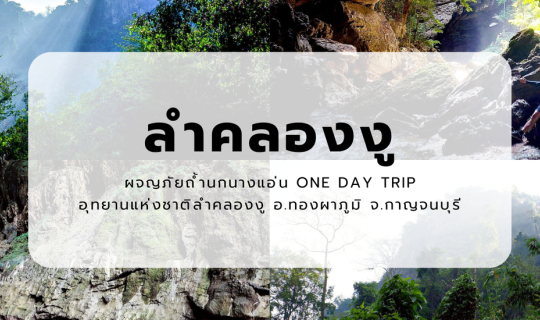Cover ลำคลองงู | ผจญภัยถ้ำนกนางแอ่น One Day Trip | อุทยานแห่งชาติลำคลองงู ...