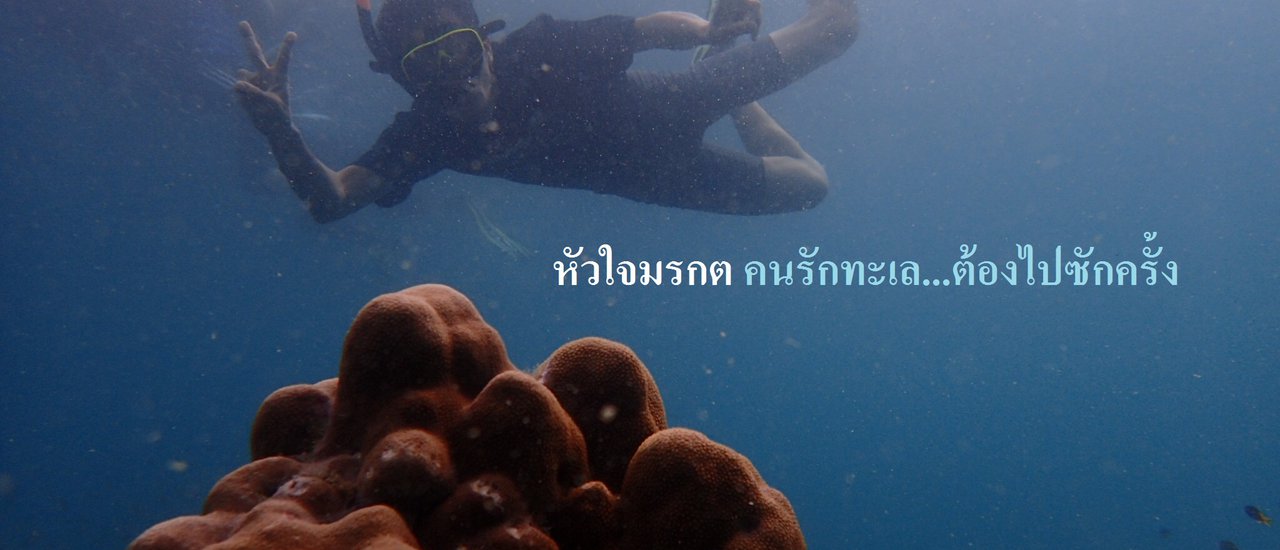 cover หัวใจมรกต คนรักทะเล...ต้องไปซักครั้ง --> พักเกาะเกือกม้า