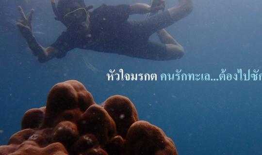 cover หัวใจมรกต คนรักทะเล...ต้องไปซักครั้ง --> พักเกาะเกือกม้า