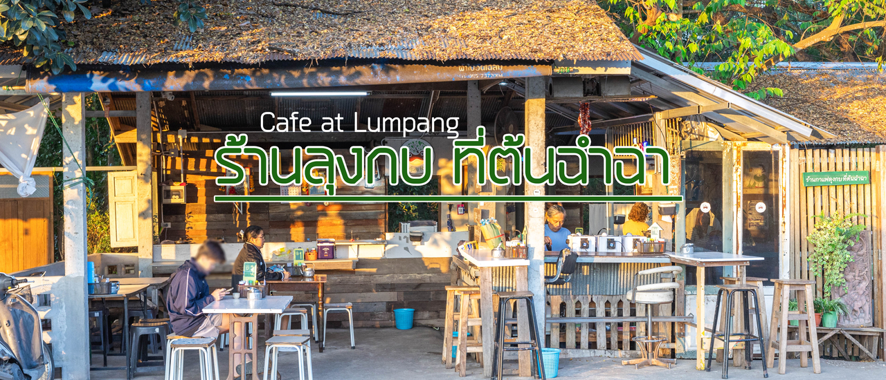 cover กาแฟลุงกบ ที่ต้นฉำฉา