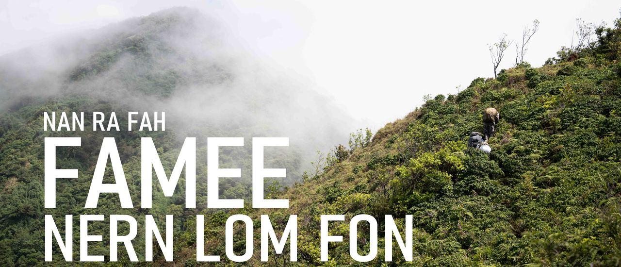 cover "ยกให้เป็น No.1 เลย " เส้นทางเดินป่า ฝามี-เนินลมฝน  | 4วัน3คืน | March 2026