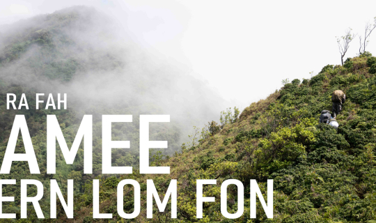 Cover "ยกให้เป็น No.1 เลย " เส้นทางเดินป่า ฝามี-เนินลมฝน  | 4วัน3คืน | Mar...