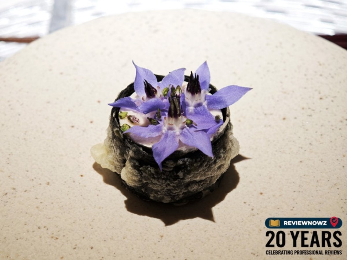 แครกเกอร์สาหร่ายทูน่าอากามิเสิร์ฟพร้อมไอศกรีมวาซาบิ