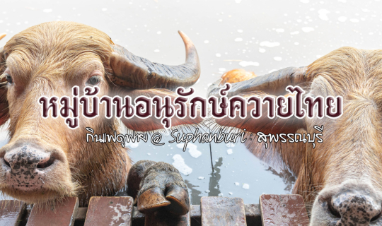 Cover หมู่บ้านอนุรักษ์ควายไทย @ สุพรรณบุรี...