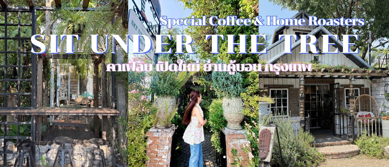 cover SIT UNDER THE TREE Coffee and Pizza คู้บอน กรุงเทพ